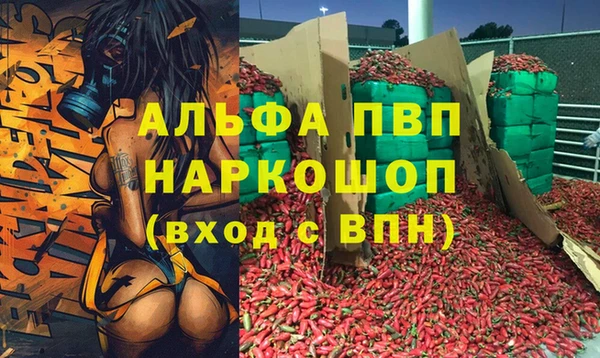 винт Касимов
