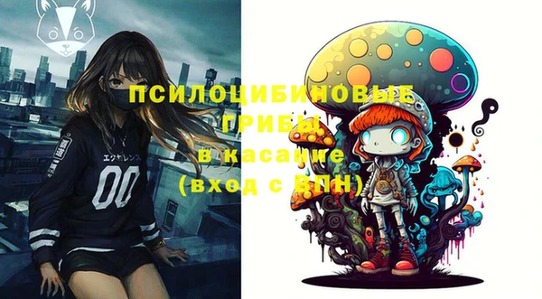 винт Касимов